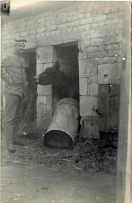Nizy-le-Comte, Aisne - Anton mit Esel
