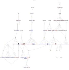 PDF-Version des aktuellen Stammbaums der Paessler-Kiechle-Linie